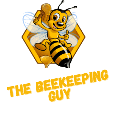 learn beekeeping
